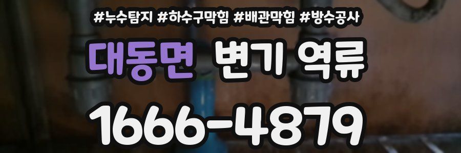 대동면 변기 역류
