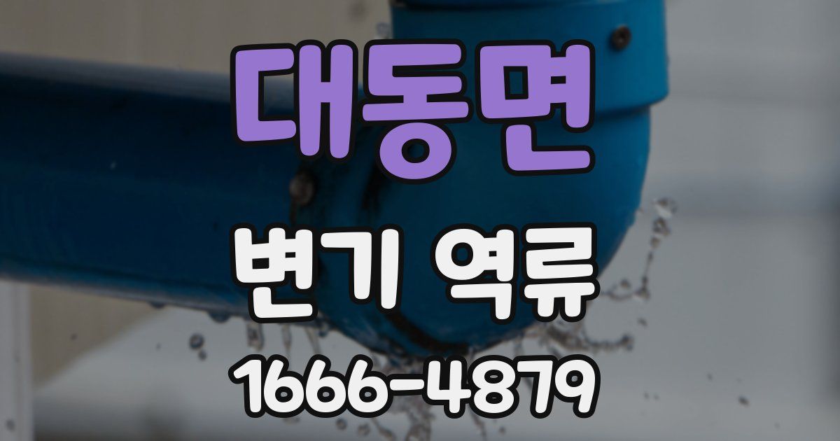 대동면 변기 역류