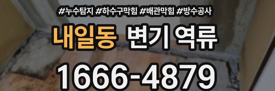 내일동 변기 역류