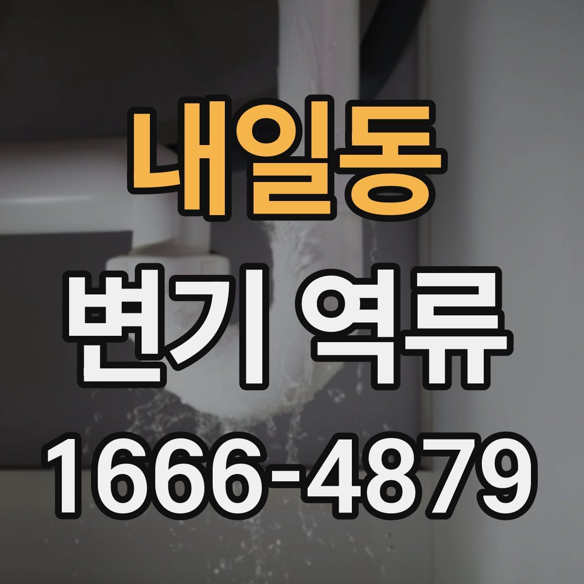 내일동 변기 역류