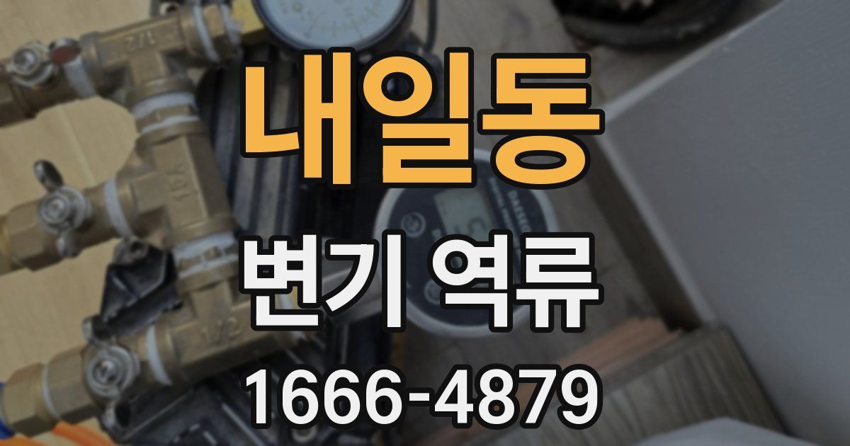 내일동 변기 역류