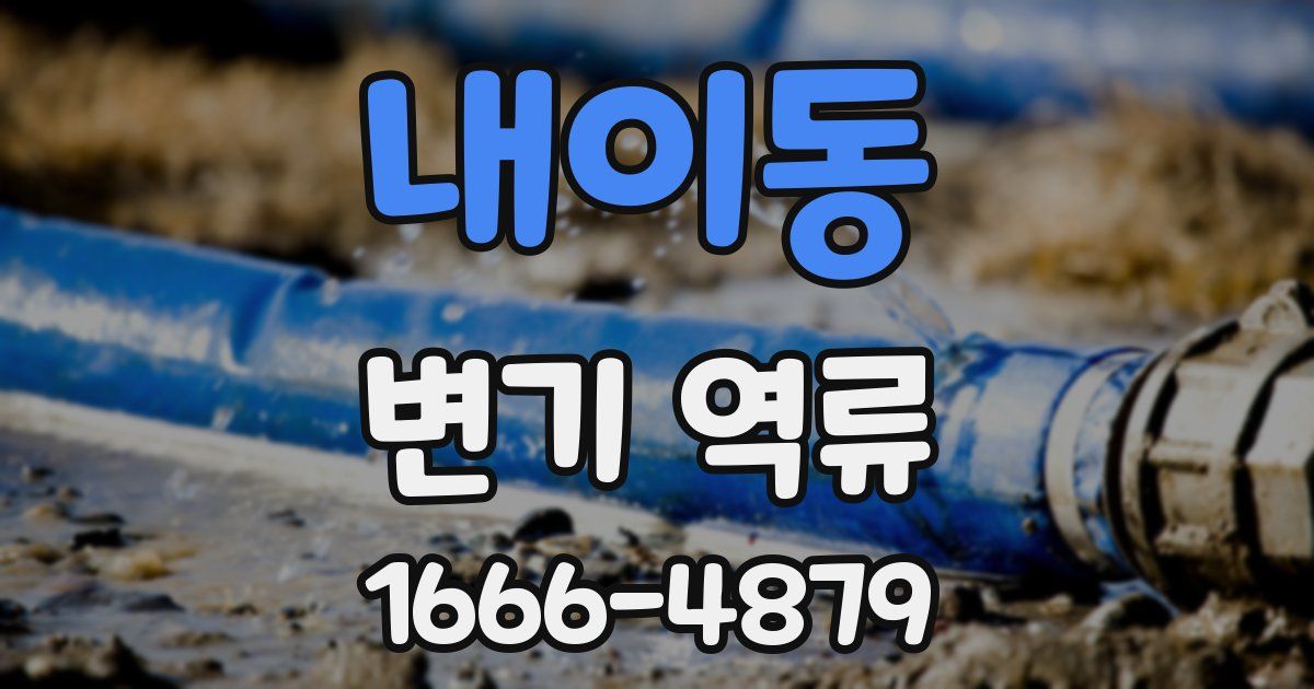 내이동 변기 역류