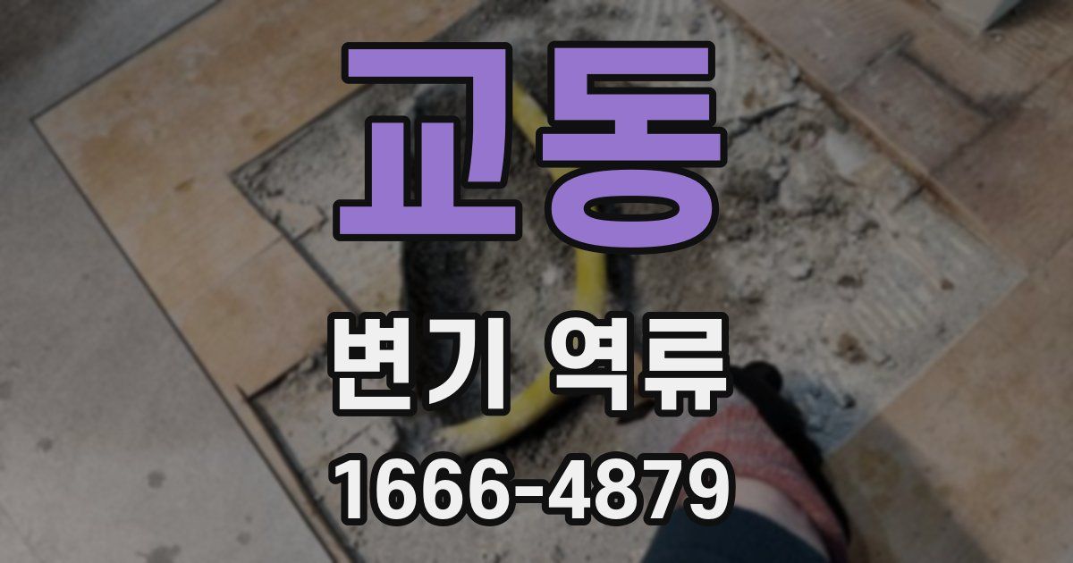 교동 변기 역류