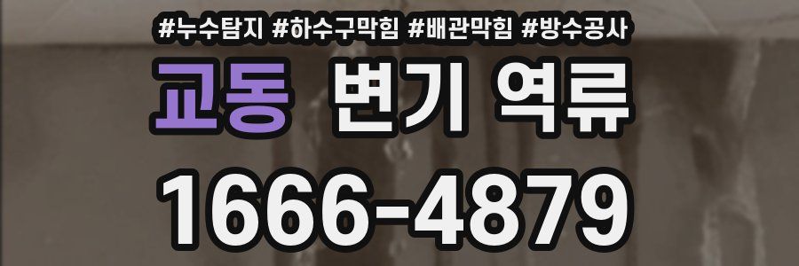 교동 변기 역류