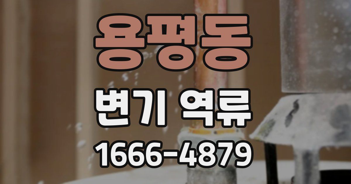 용평동 변기 역류