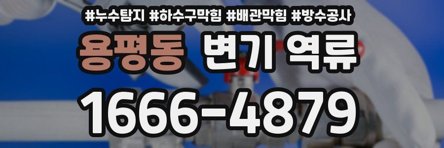 용평동 변기 역류