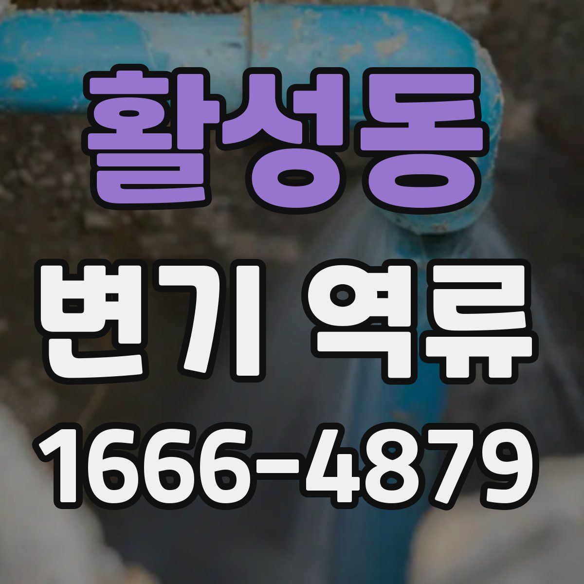 활성동 변기 역류
