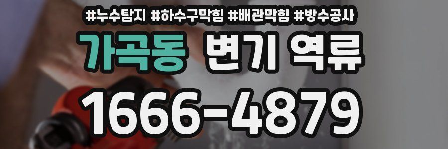 가곡동 변기 역류