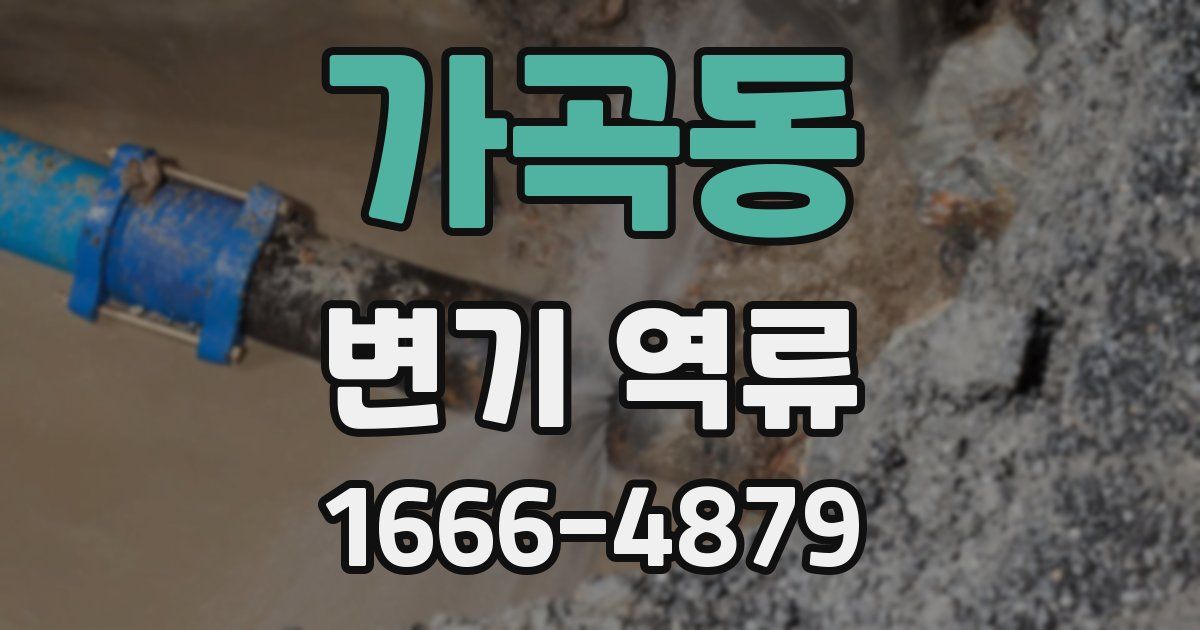 가곡동 변기 역류