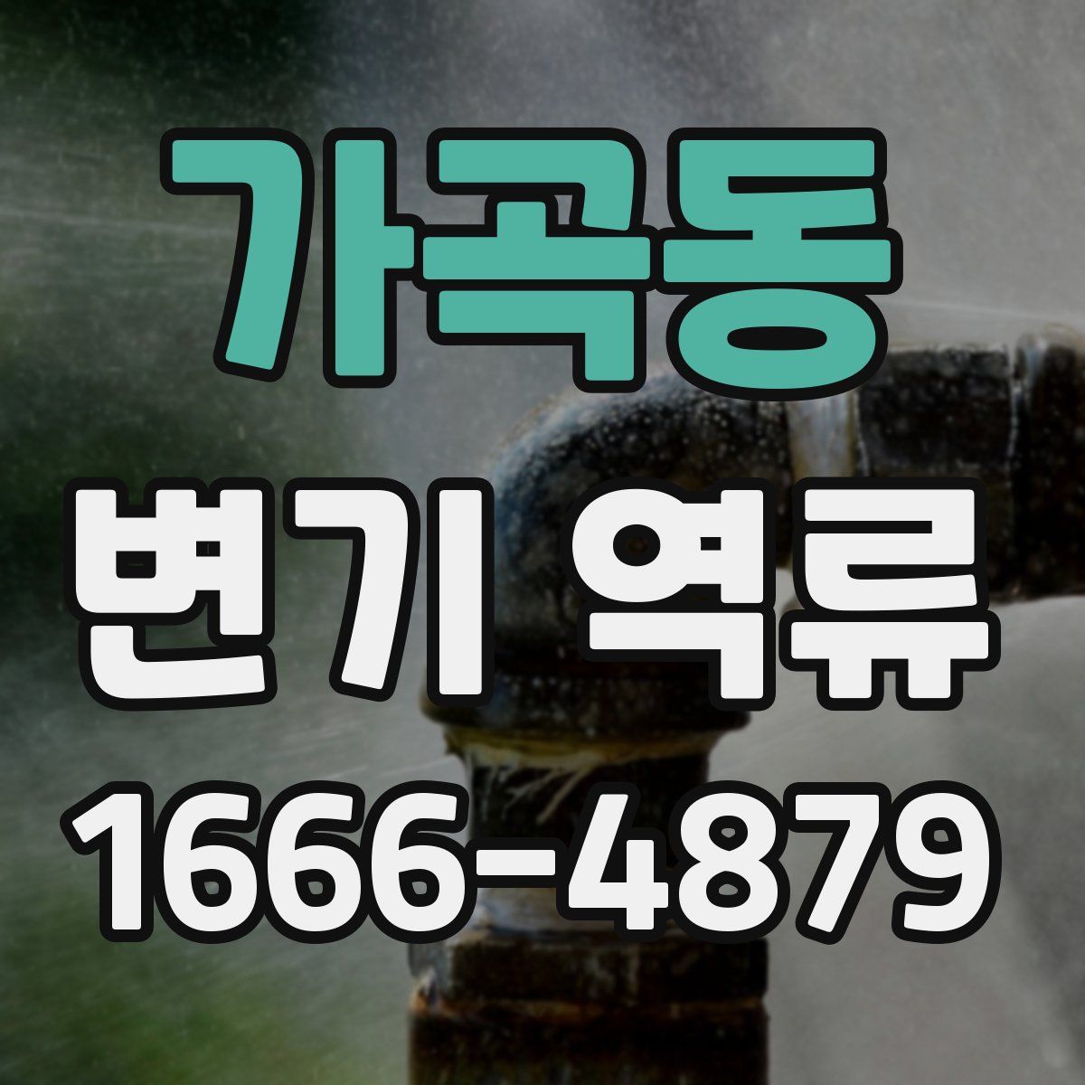 가곡동 변기 역류
