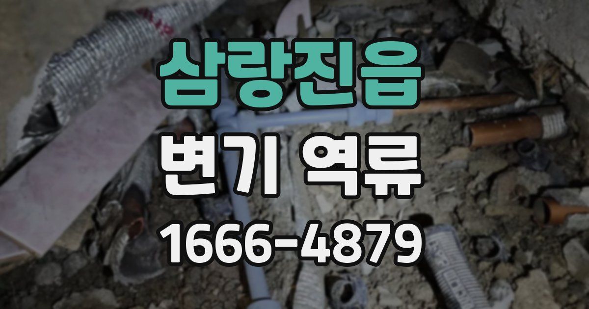 삼랑진읍 변기 역류
