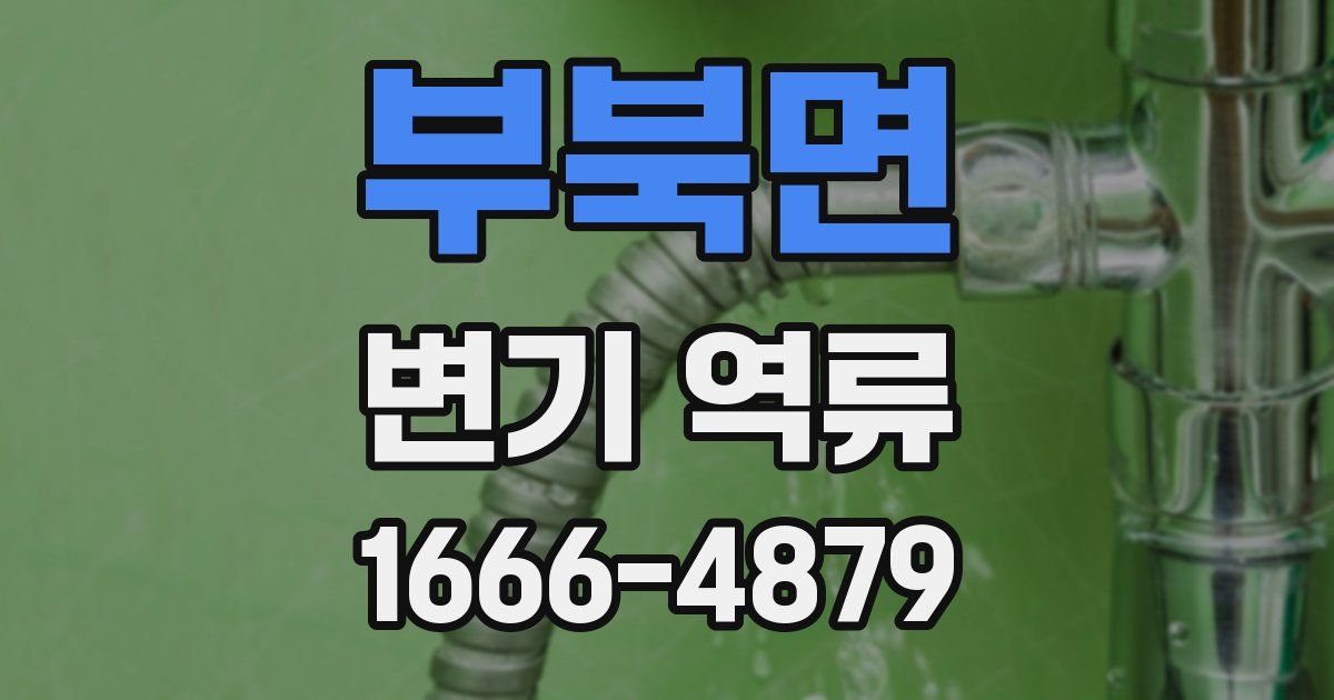 부북면 변기 역류