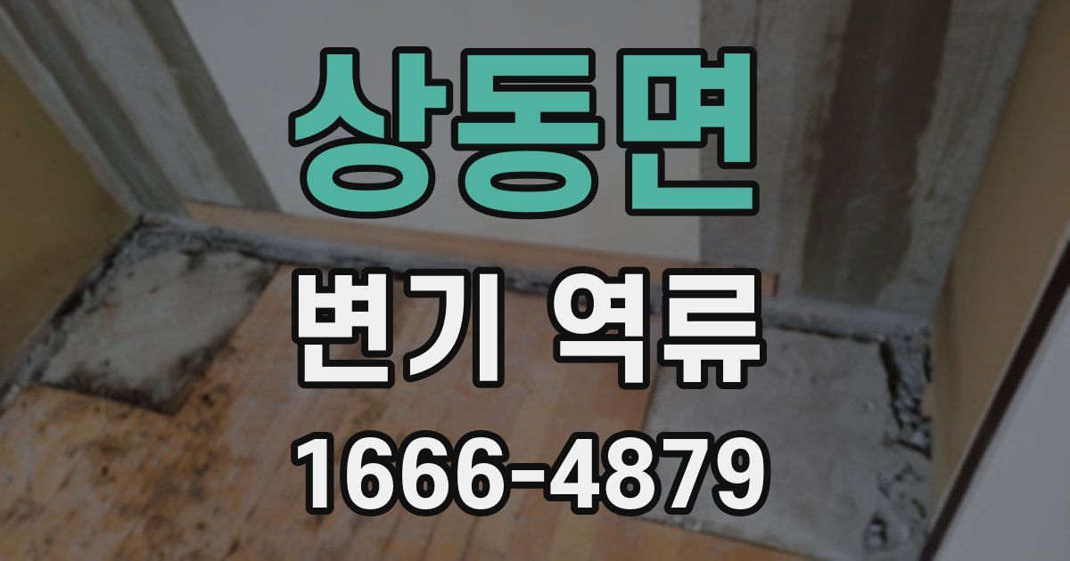 상동면 변기 역류