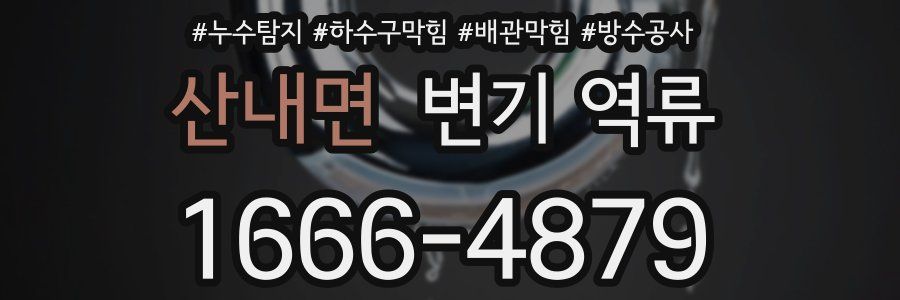 산내면 변기 역류