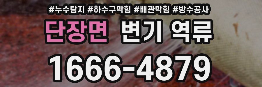 단장면 변기 역류