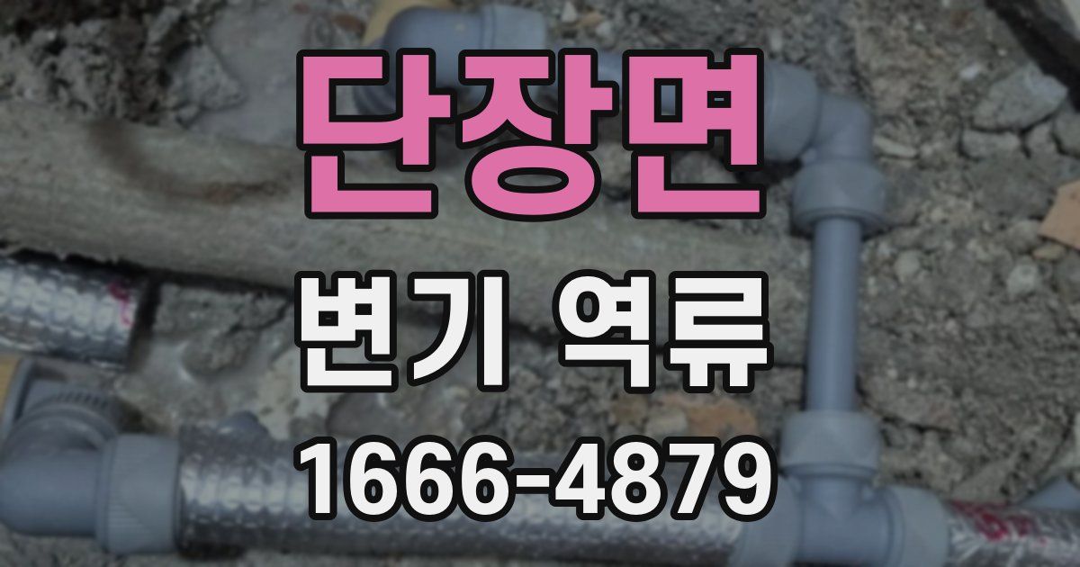 단장면 변기 역류