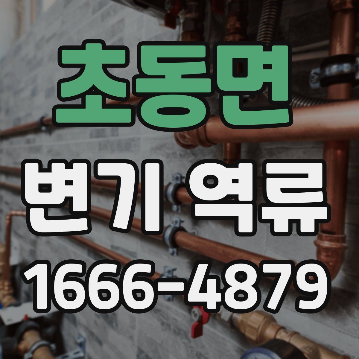 초동면 변기 역류