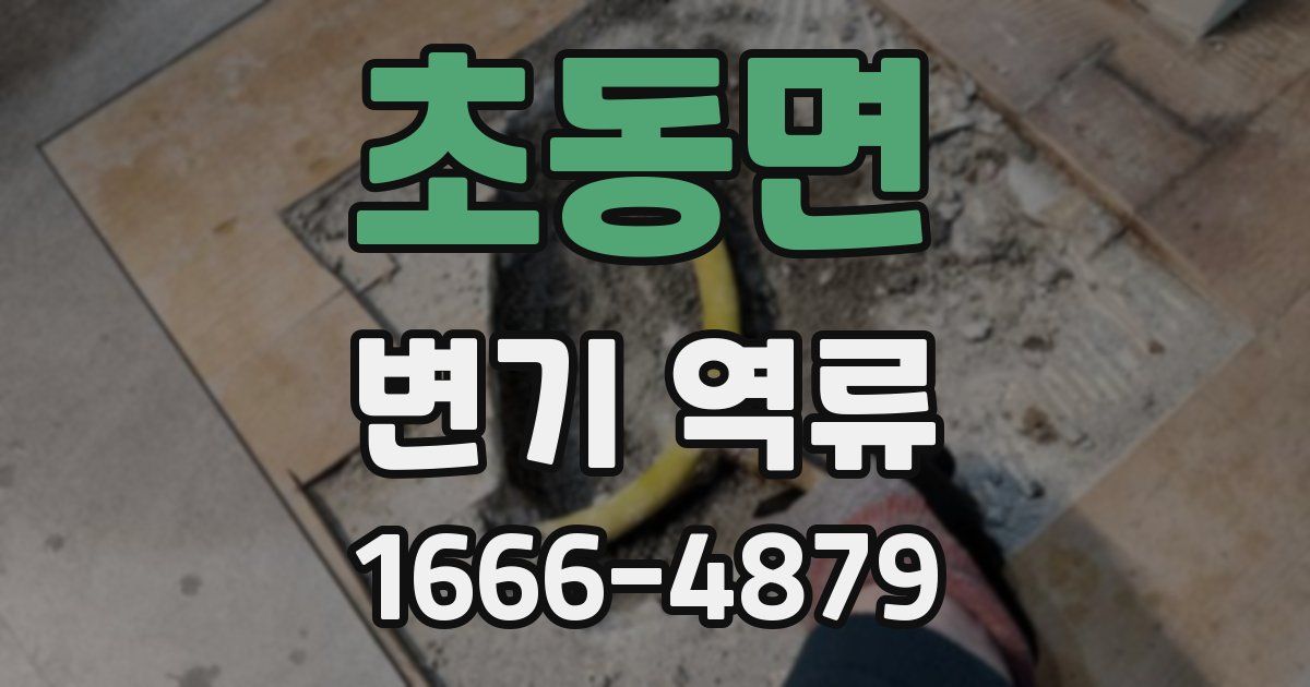 초동면 변기 역류