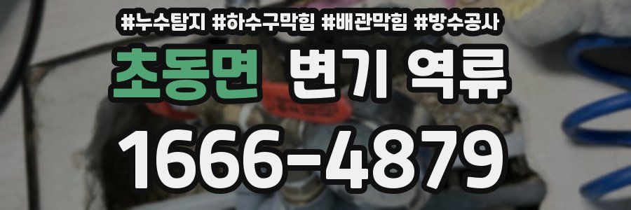 초동면 변기 역류