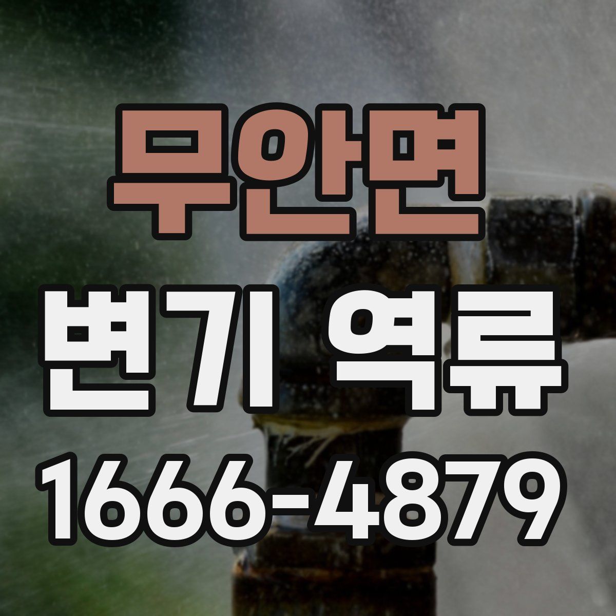 무안면 변기 역류