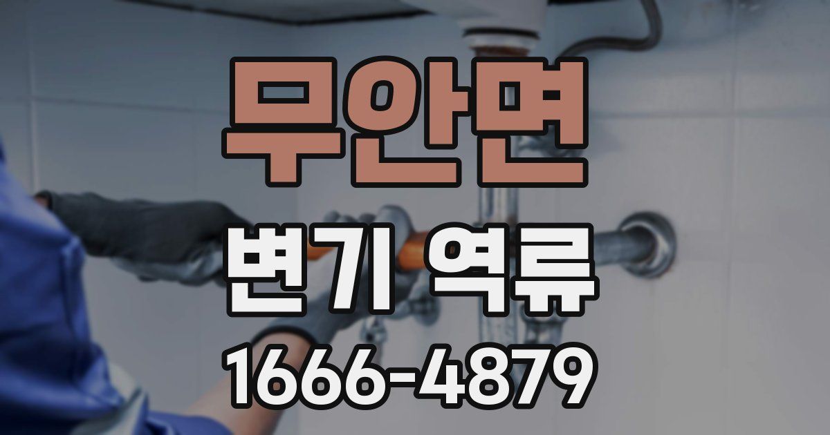 무안면 변기 역류