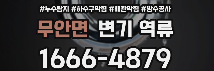무안면 변기 역류