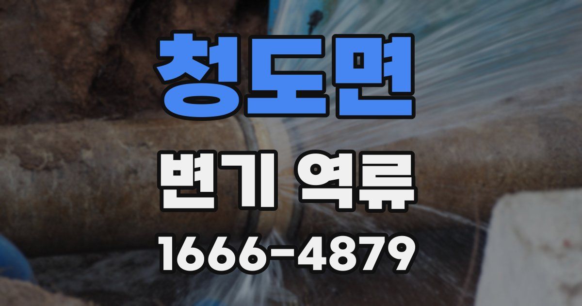 청도면 변기 역류