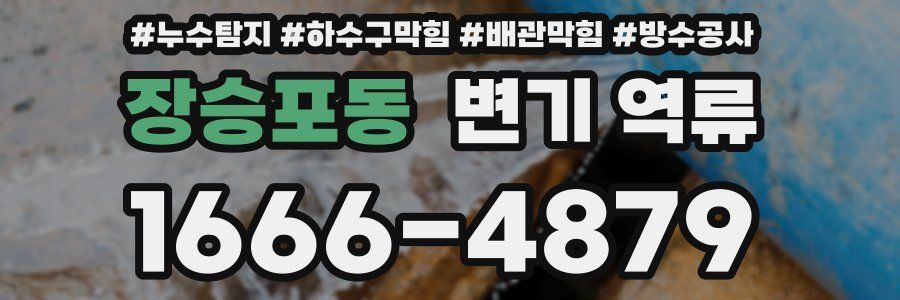 장승포동 변기 역류