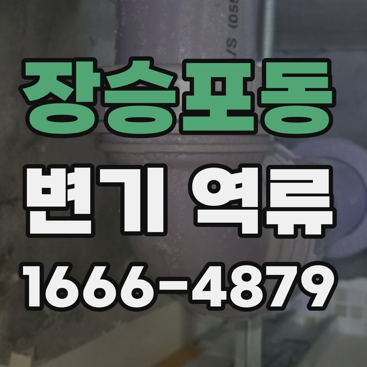 장승포동 변기 역류