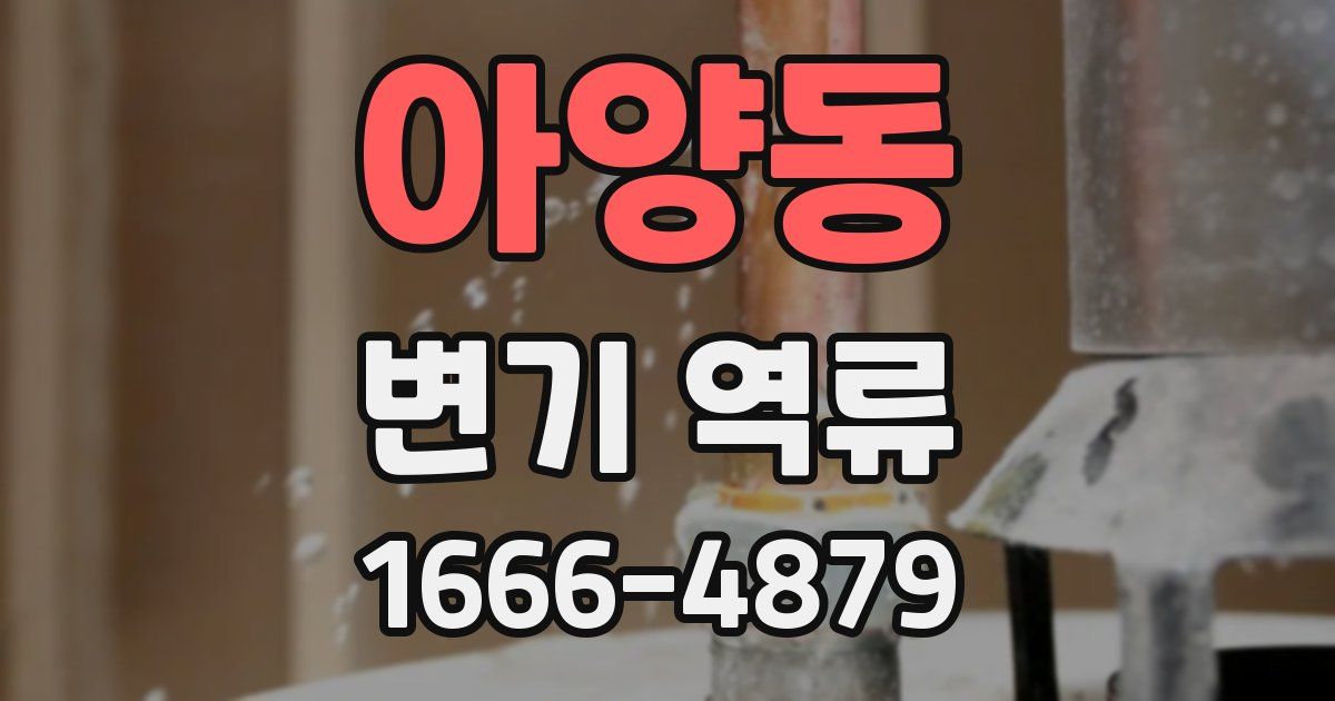 아양동 변기 역류