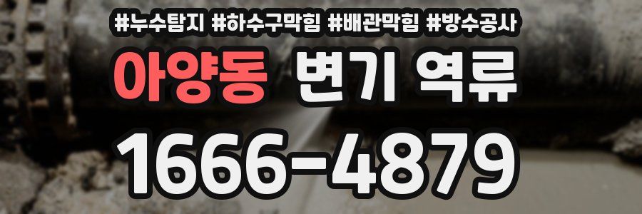아양동 변기 역류