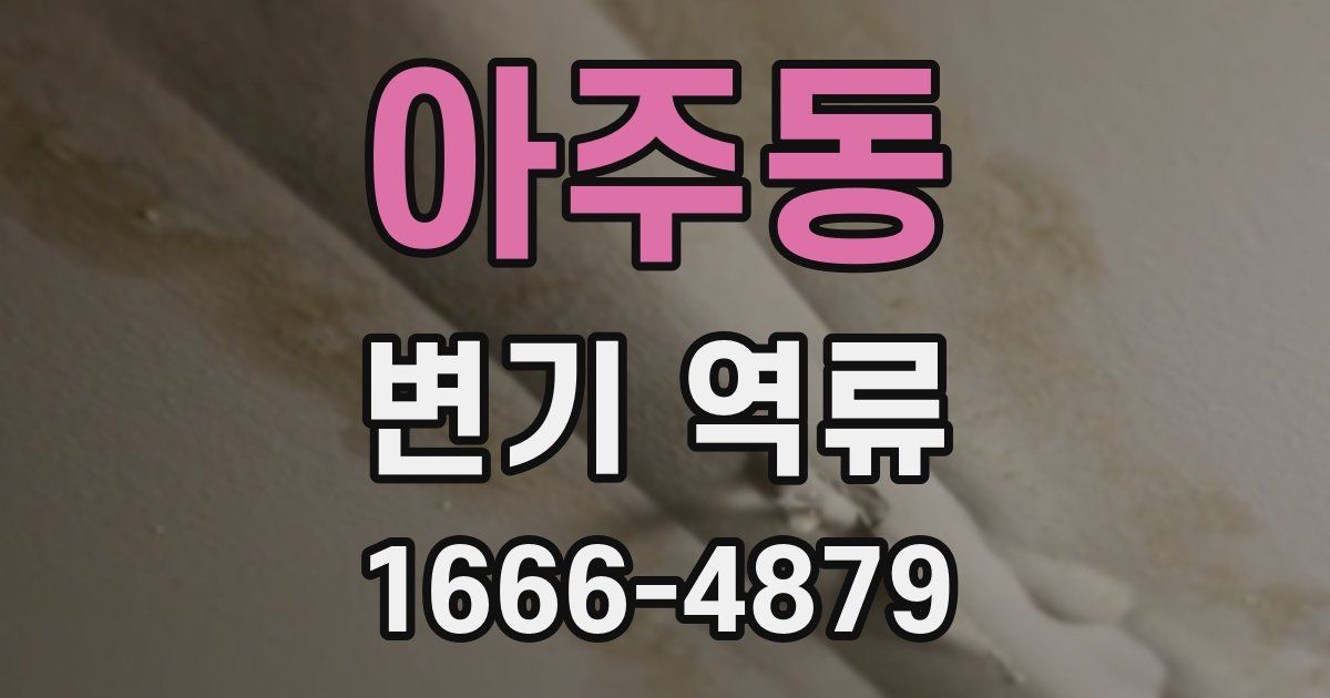 아주동 변기 역류