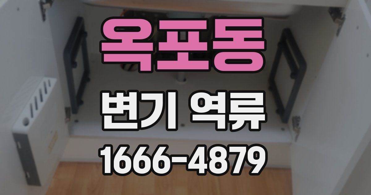 옥포동 변기 역류