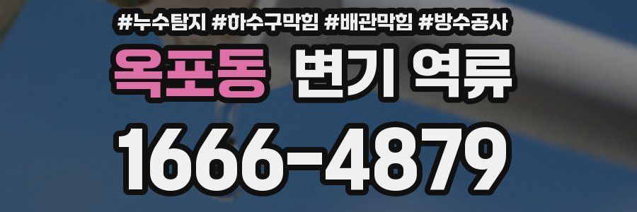 옥포동 변기 역류