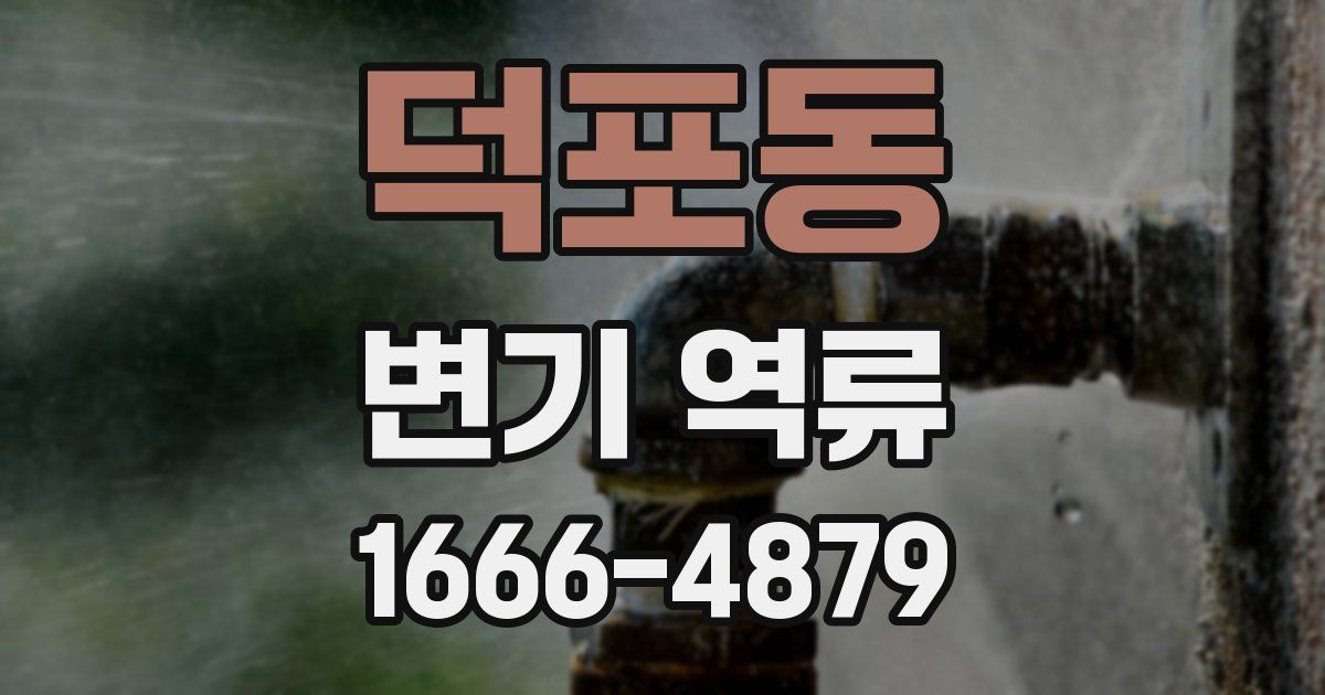 덕포동 변기 역류