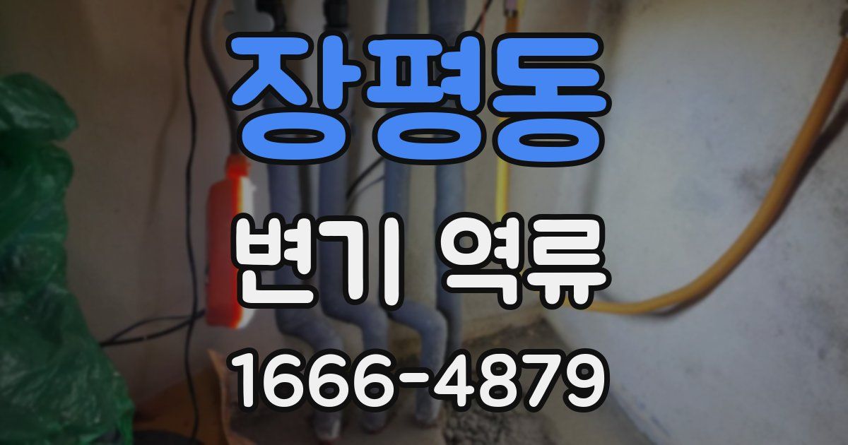 장평동 변기 역류