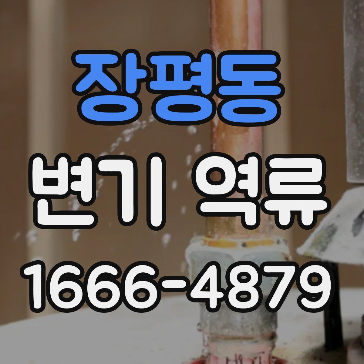 장평동 변기 역류