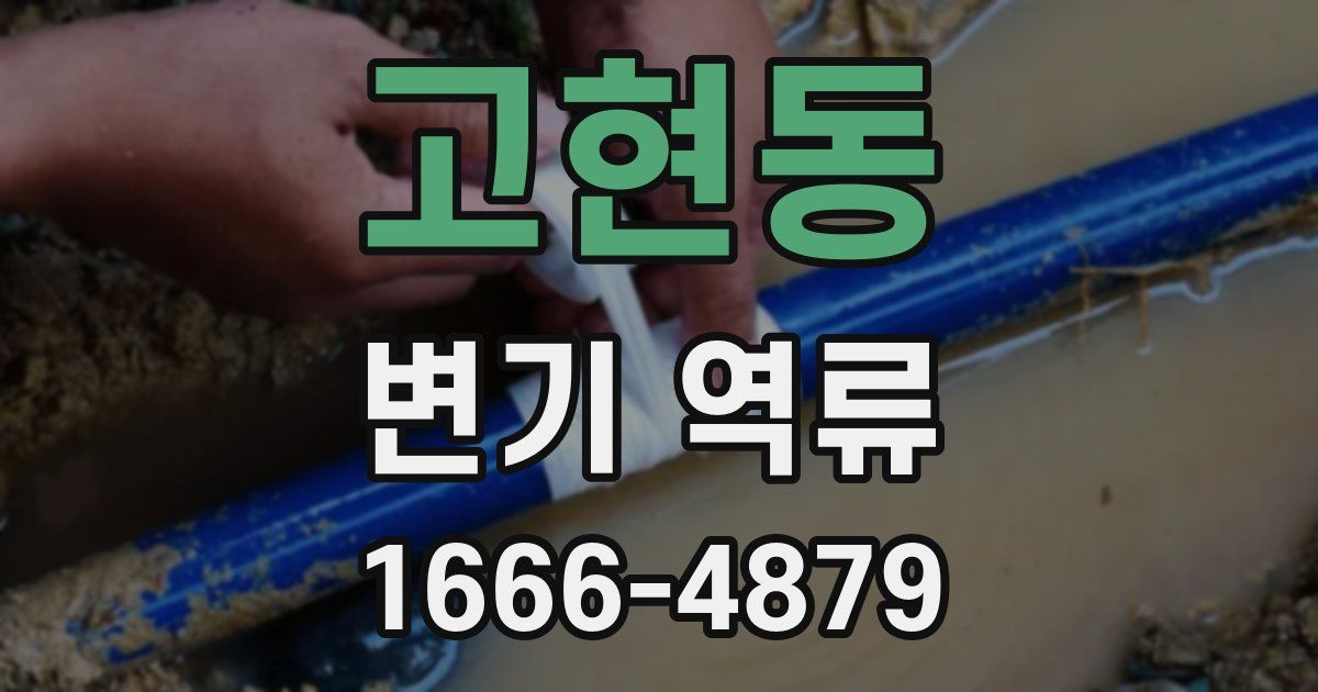 고현동 변기 역류
