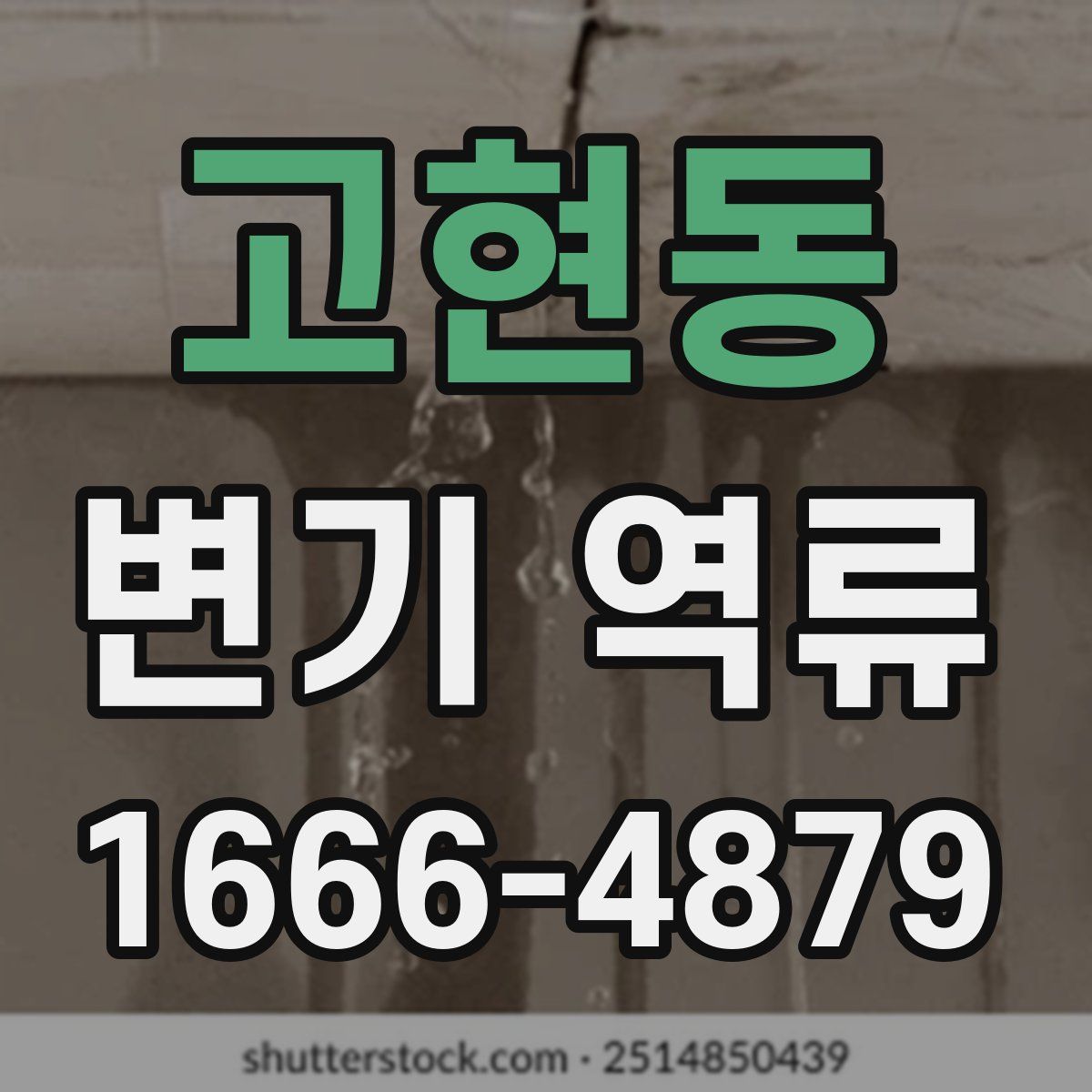 고현동 변기 역류