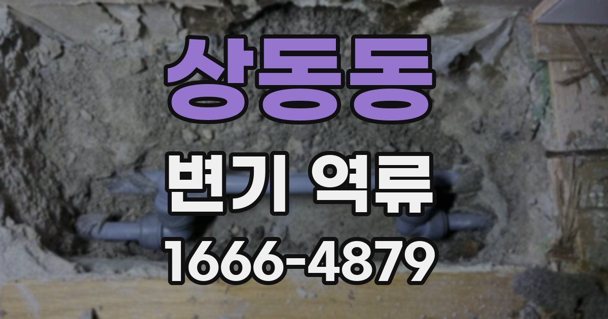 상동동 변기 역류