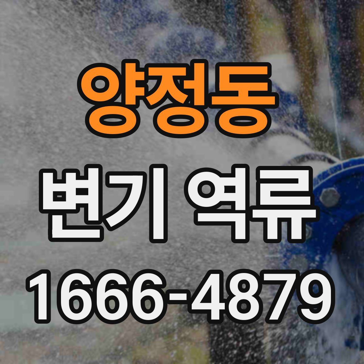 양정동 변기 역류