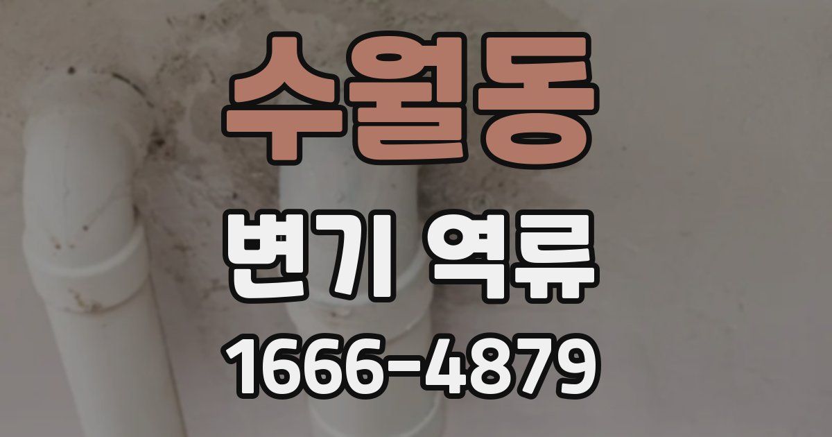 수월동 변기 역류