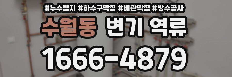 수월동 변기 역류