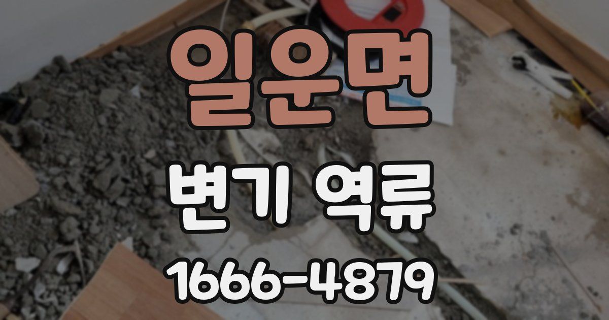 일운면 변기 역류