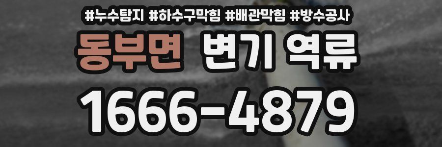 동부면 변기 역류