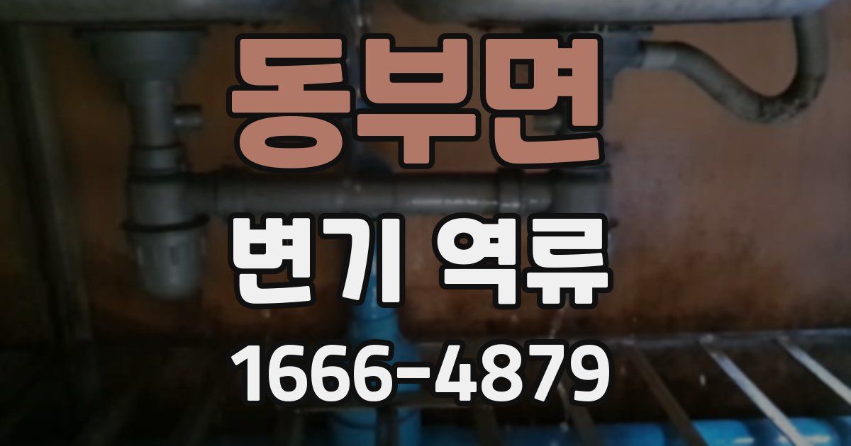 동부면 변기 역류