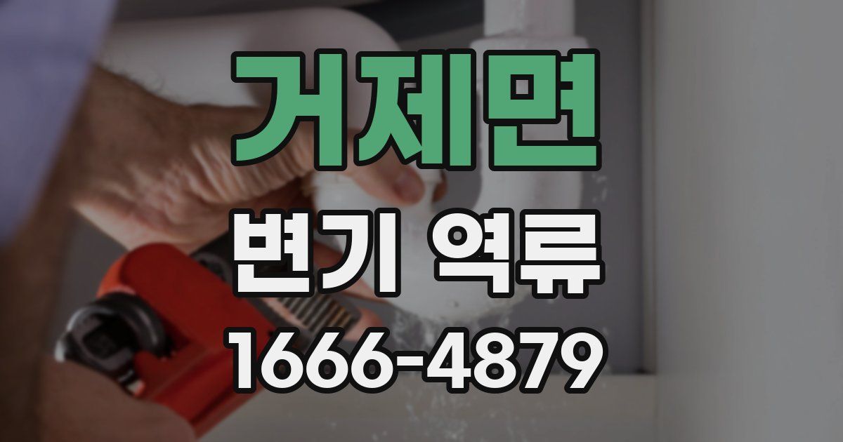 거제면 변기 역류