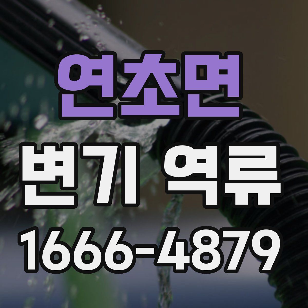 연초면 변기 역류