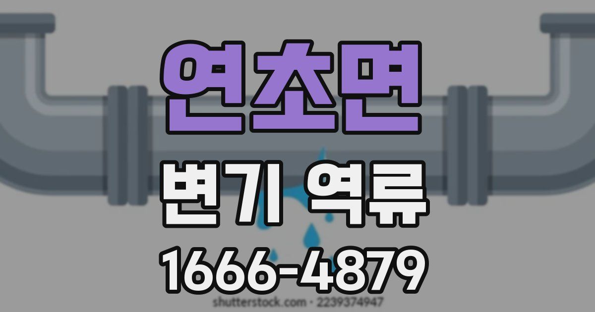 연초면 변기 역류
