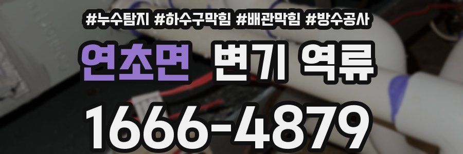 연초면 변기 역류